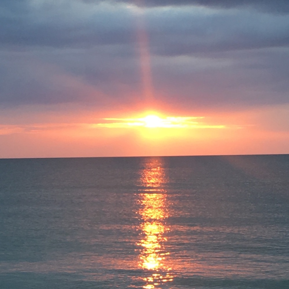 Meet your Posher, Denise